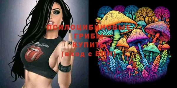 2c-b Белоозёрский