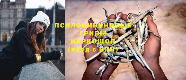MESCALINE Богородицк